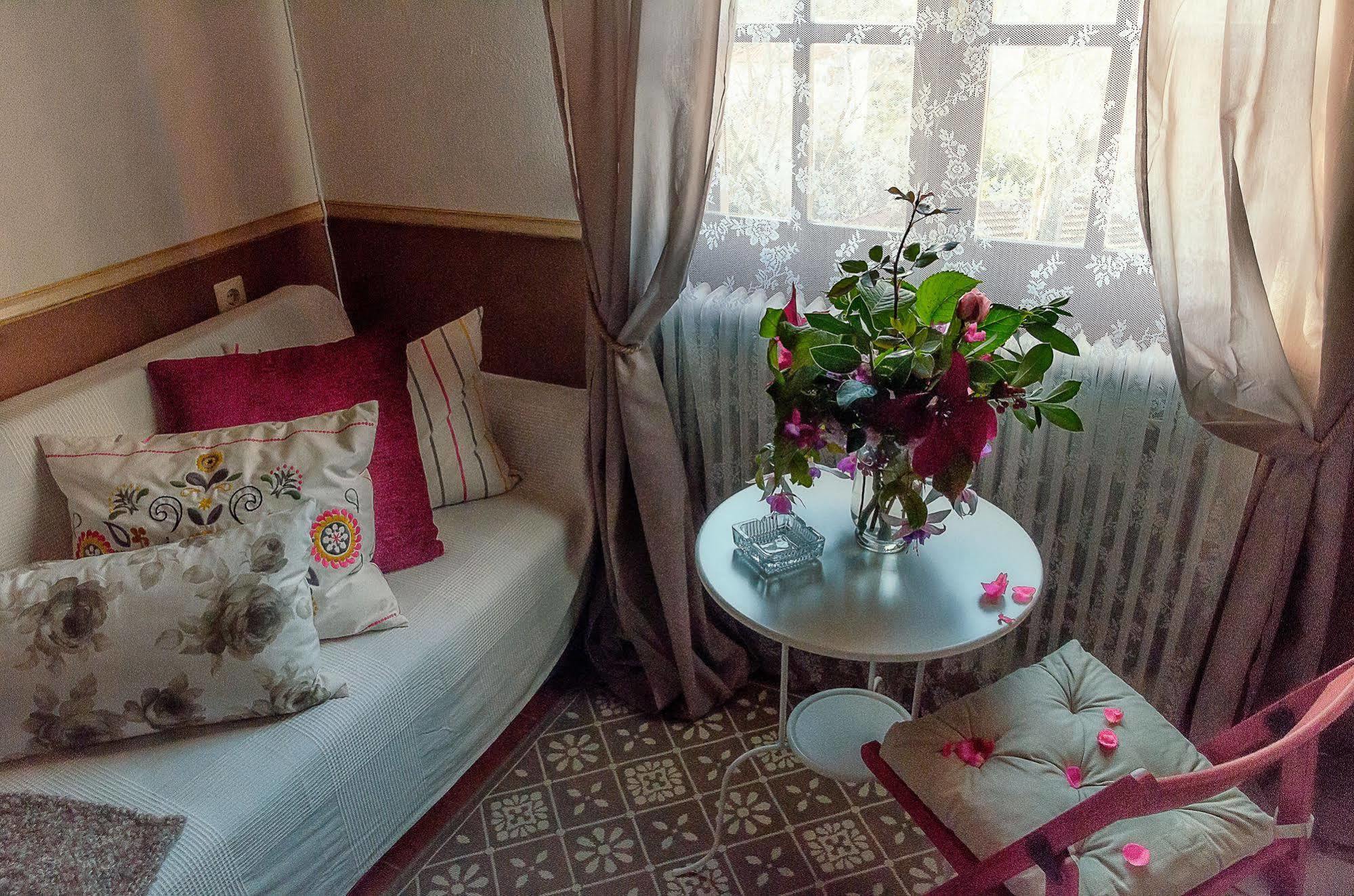 Olga Rooms Πορταριά Εξωτερικό φωτογραφία